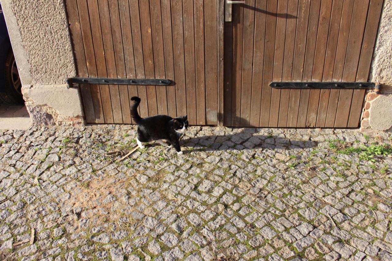 Ferienwohnung Beim Roessl Nossen Exteriör bild